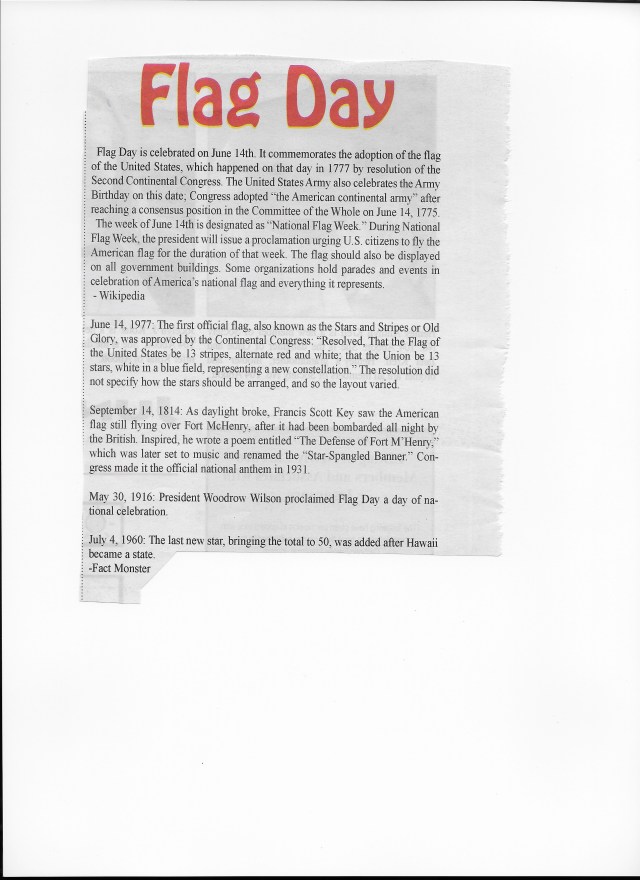 Flag Day1