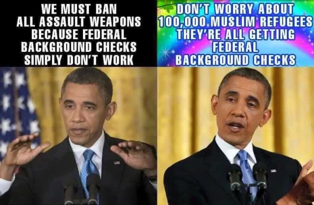 Obama background checks