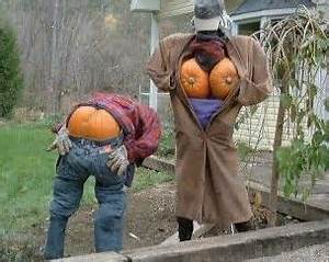 pumpkins
