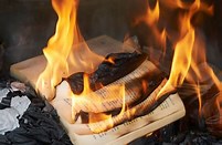 burningbooks