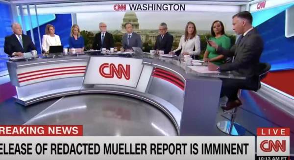 cnnpanel2