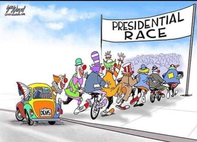 65056838_10219842003830229_5224679032406147072_n