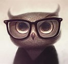 owl1