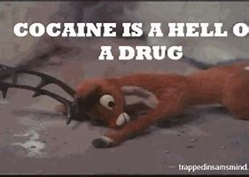cocaine