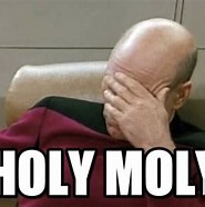 HOLY MOLY GUACAMOLE
