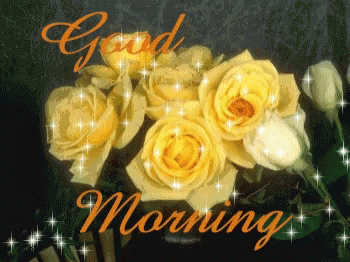 yellow roses.