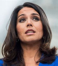 Tulsi Gabbard pic