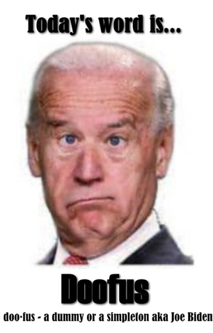Joe Biden doofus