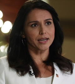 Tulsi Gabbard picture