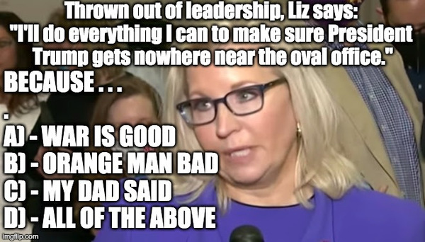 liz cheney is garbage